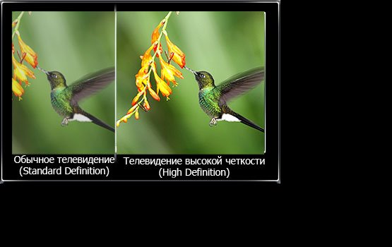 DAUTKOM ��������� ����� ��� �����������!