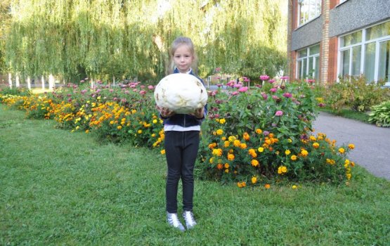 Вот это гриб! (фото)