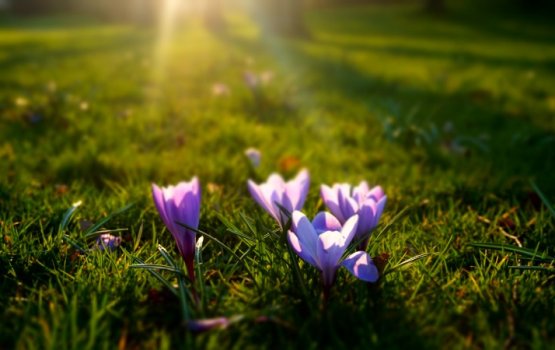 ����: grani.lv