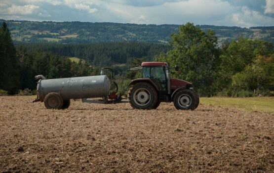 ����: grani.lv