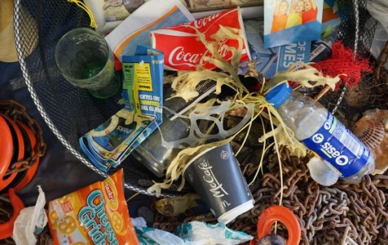 ����: grani.lv