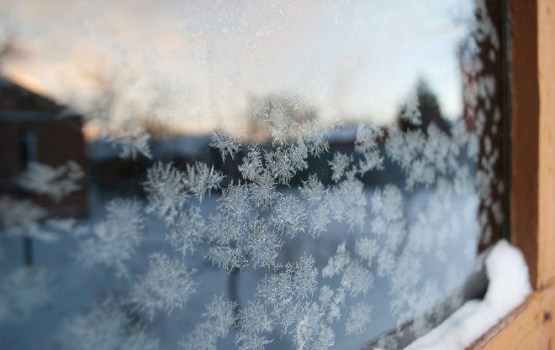 ����: grani.lv