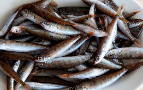 ����: grani.lv