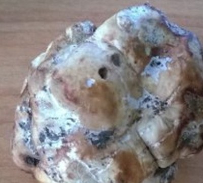 1570779142_see-vilis-buk353s-other-tweet