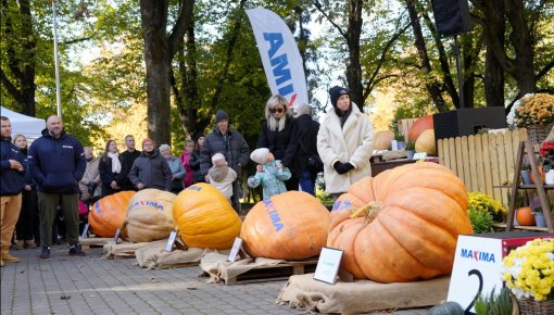 В Латвии выбрали самую большую тыкву