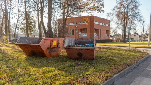 В ноябре в городе пройдет традиционная акция по сбору зеленой массы