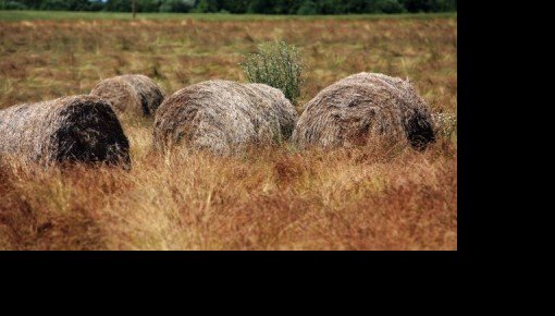 ����� ������ ������: "����� ������������ ��������"