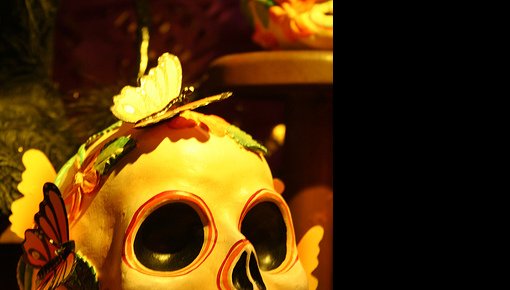 ������� �������� ���� ����������� ������