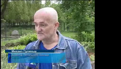 Работу на лето получат ещё 92 школьника (видео)