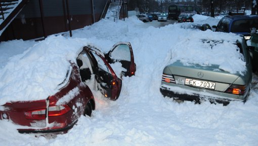 ������, �������� � �Daugavpils ledus halle�, ��������� ��� ������ (����)