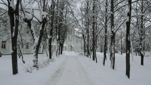 В Курземе снежный покров тает, в Видземе — увеличивается