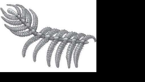 ������ ����� "������� ������" ����������� �����