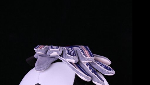 ������������� ������ �������� ����������� ����������