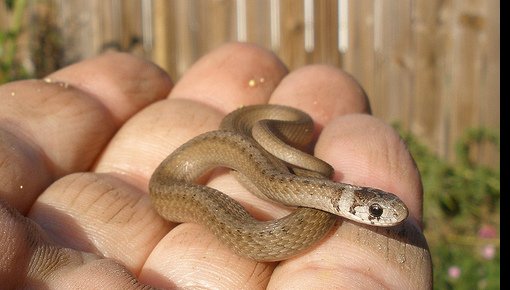 � �������������� ���� ��������������� ������ ���� ����