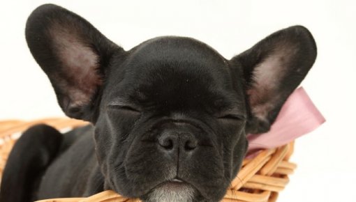 �������� ����� ������� � �� �����