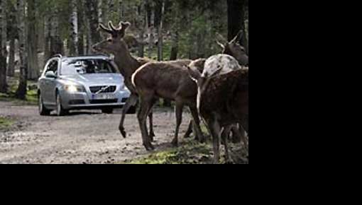 Volvo ������� ���� ������ ��������� ����� ������ � �������