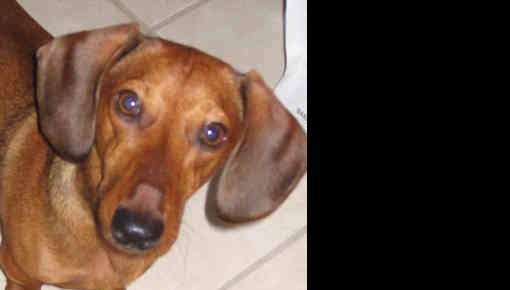 ������ ������� ����������� �����