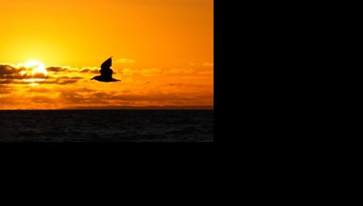 ������ �������� ��������� �����