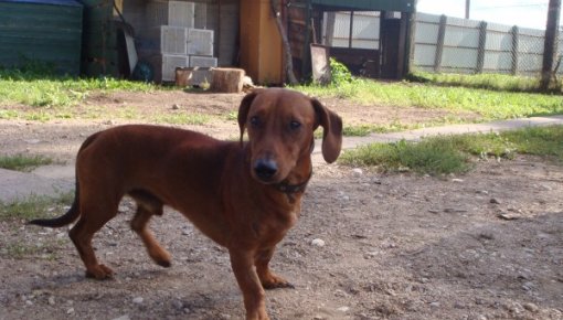 �������� ��������� ����!