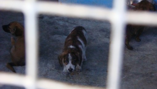 ����� �������: "������ ������������� �� ������ �� ������ � 5 �����"