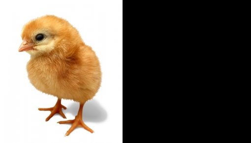 �������������� ������������ ������� ����������� �� ������