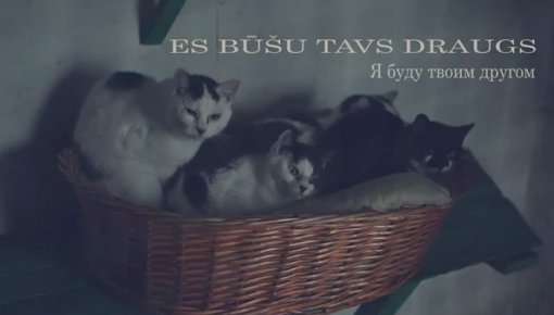 ������ 3 karotes medus ����� ����� � ������ ��� ��������