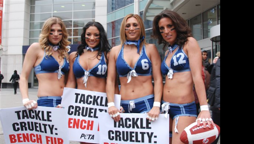 ����������� "��������� ����" LFL ��������� � ������ ���� ��������