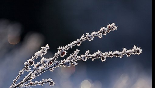 �� �������� ������� ���������� ��������� ���� ����