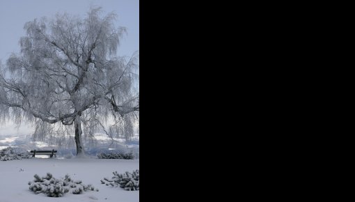 �� ��������� ������ ������� ����� �� -15 ��������
