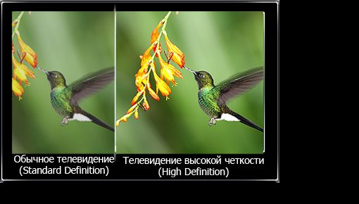 DAUTKOM ��������� ����� ��� �����������!
