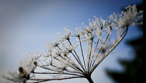 ����� � ������� ������ ������� � 32 �������