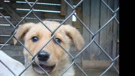 ����� �������: ��� ������ ������� ��������� ���������� ���������