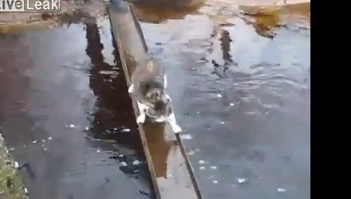 ���������� ���� - ����� ����� ���� � ���� (�����)