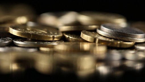 ���� ������ - ������� ��� ������ ���� ����������?