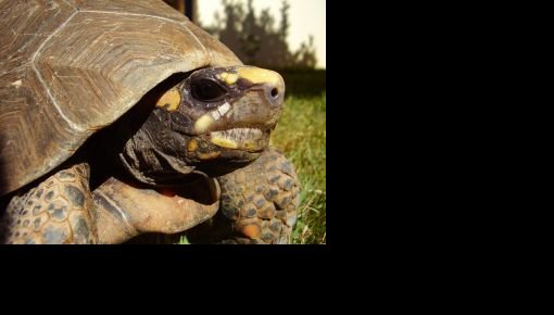 � �������� ������ ��������� �������� ��������