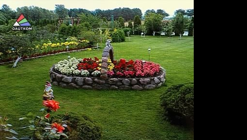 � Baby Box - ��� ������ ������ (�����)