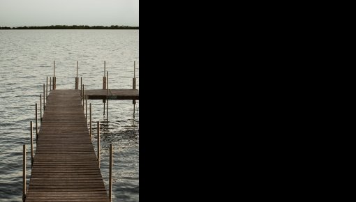 � ���� ���� ������ ����� ������ ����