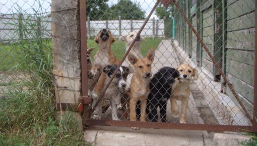 ����� ����� � ������ ��� ��������