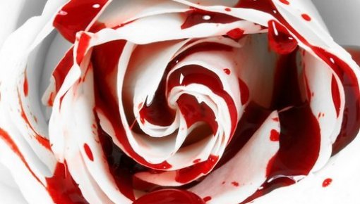 � �������������� ������� 23-������ ������ �� ������