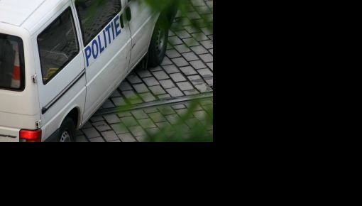 ����������� ������ ������������ � 12-� �������