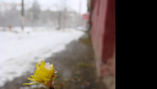 ��������� ������� ����� � ������ ����