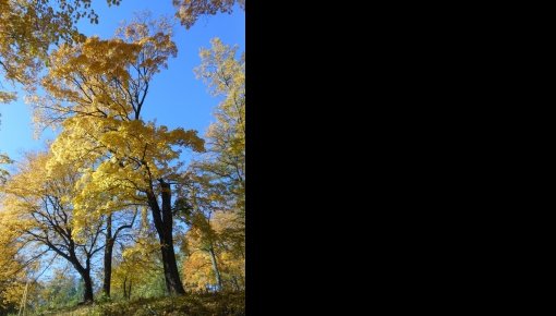 ��������� ������������ ����� ������