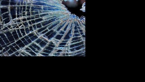 ������� ������ ���� �������������� ������ ��������