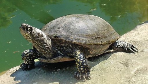 �������� 2013 ���� � ������ � ����������� �������� ��������