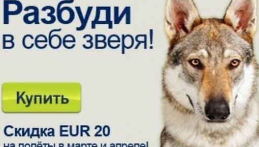 В airBaltic - скандал из-за 23 февраля