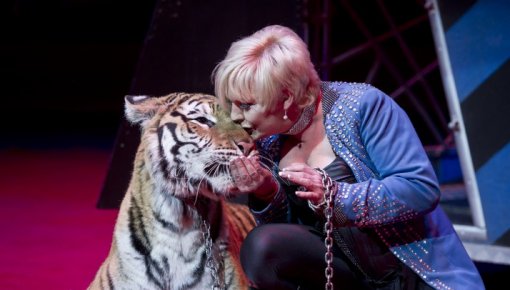 ������� ������������ ����� ������� ��������