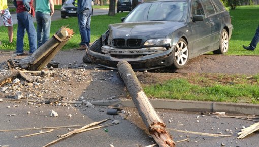 ������ � �����������: ���������� ����� ��� "�������" BMW �� �������� (���������)