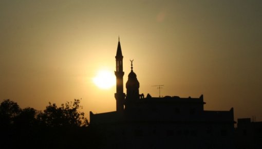 ���������: ����� 37 ��� ������ ����� ����� ������������