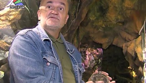 �������� "��������" (�����)