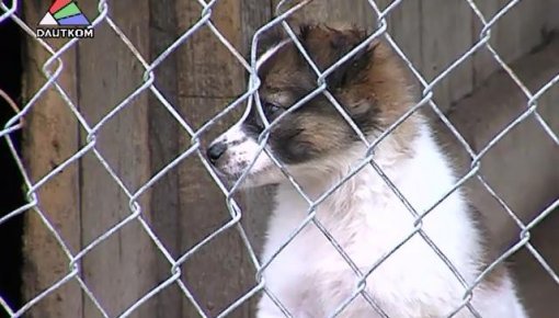 �� ������ ���� � ������ �� ���, ���� ��������� (�����)